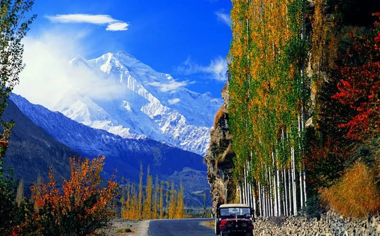 Autumn poplars along the road in Hunza, with Rakaposhi behind